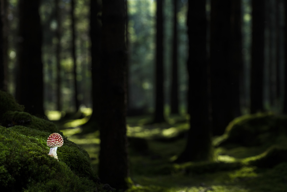 6. Platz Robert Seitz